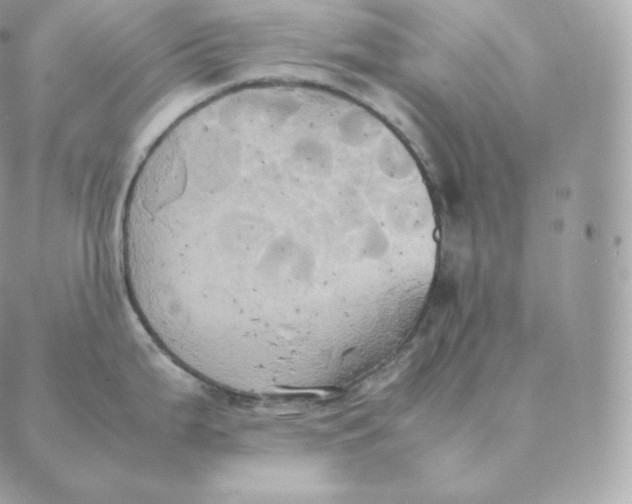 X0000088211199200706051249