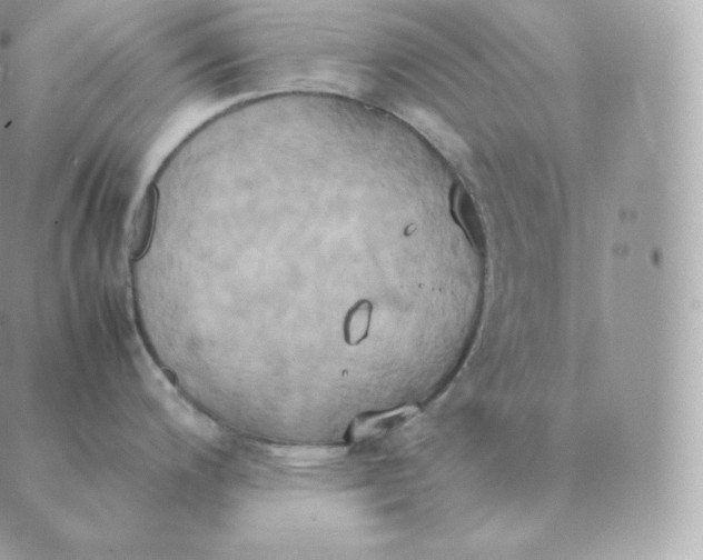 X0000088211200200706051249