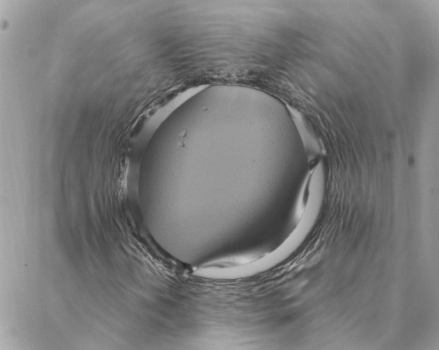 X0000088211202200706051248