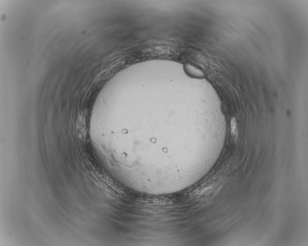 X0000088211203200706051248