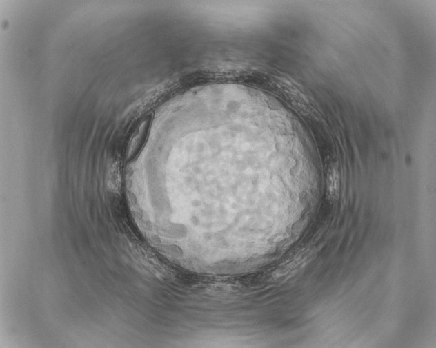 X0000088211204200706051248