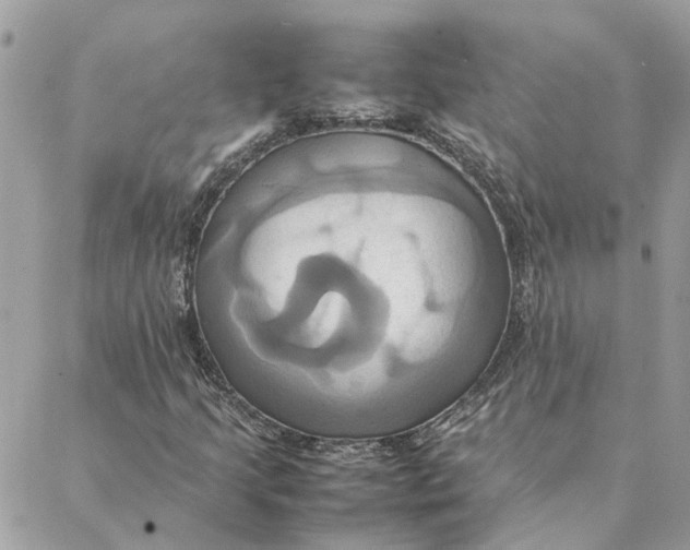 X0000088211205200706051248