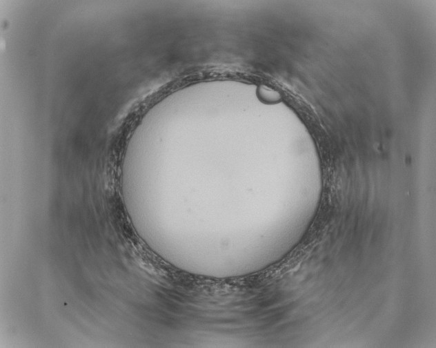 X0000088211207200706051248