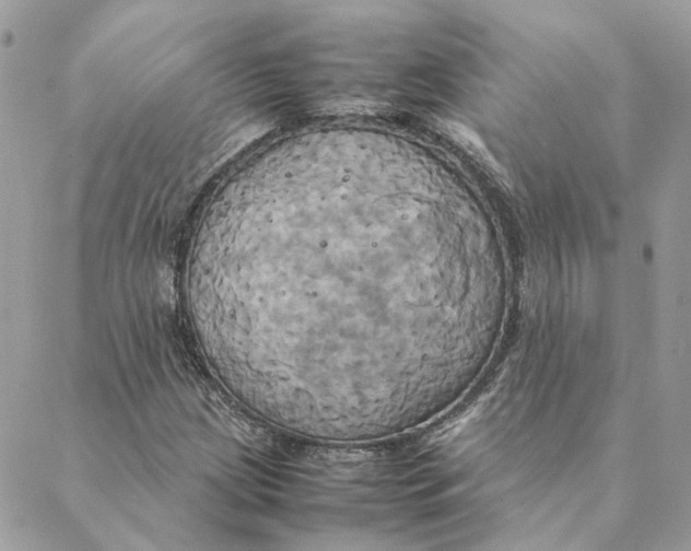 X0000088211209200706051248