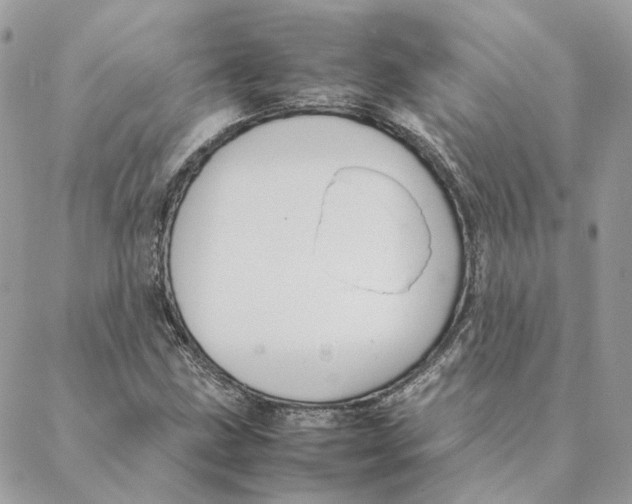 X0000088211211200706051248