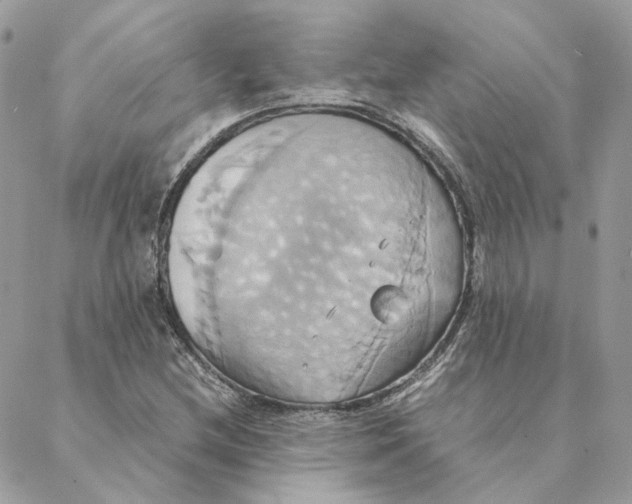 X0000088211212200706051248