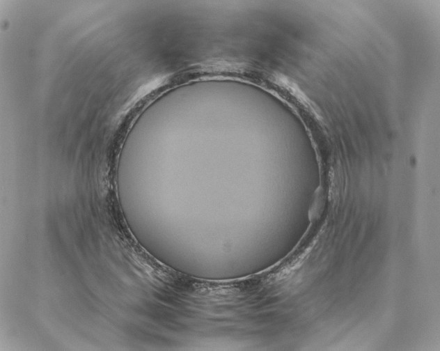 X0000088211213200706051248