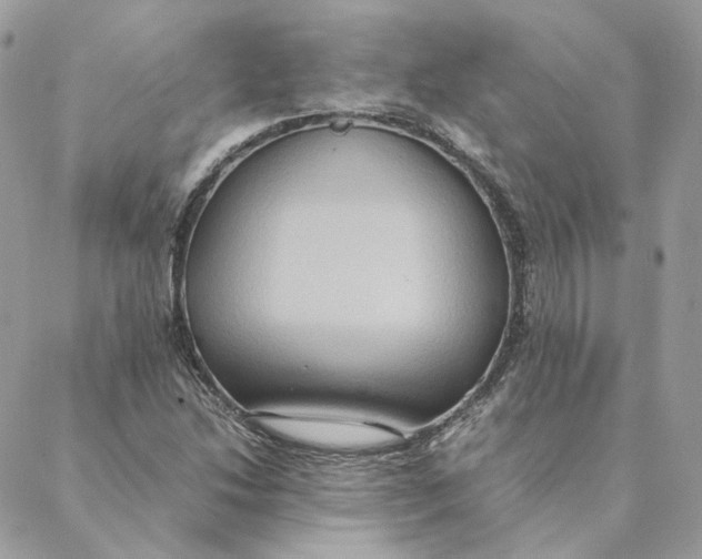 X0000088211214200706051248