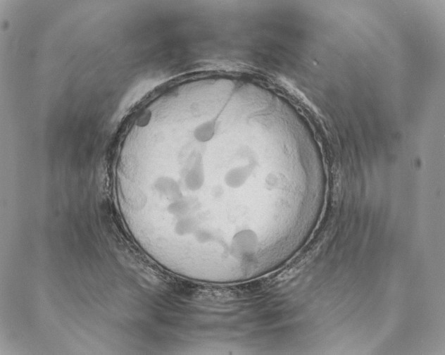 X0000088211215200706051248