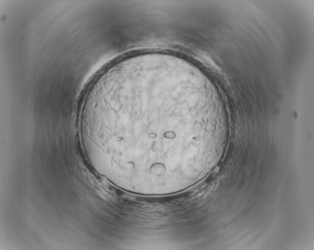 X0000088211216200706051248