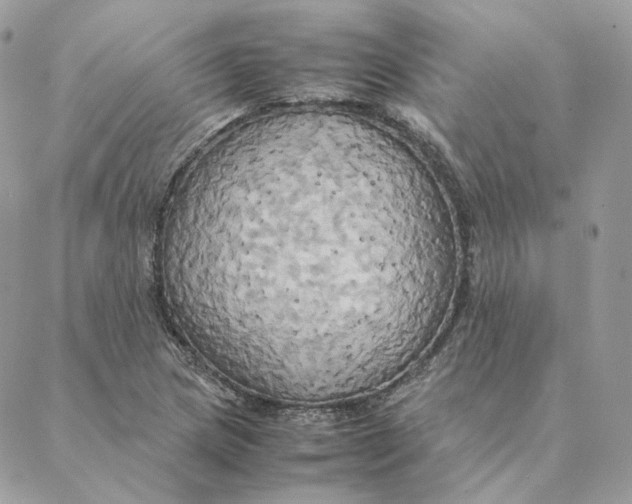 X0000088211217200706051248