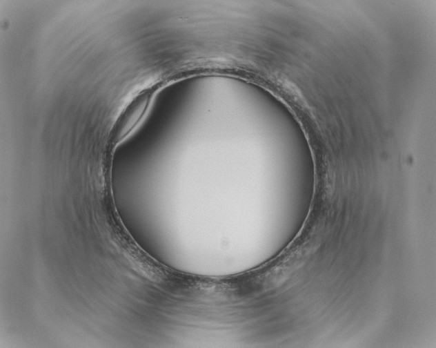 X0000088211218200706051248