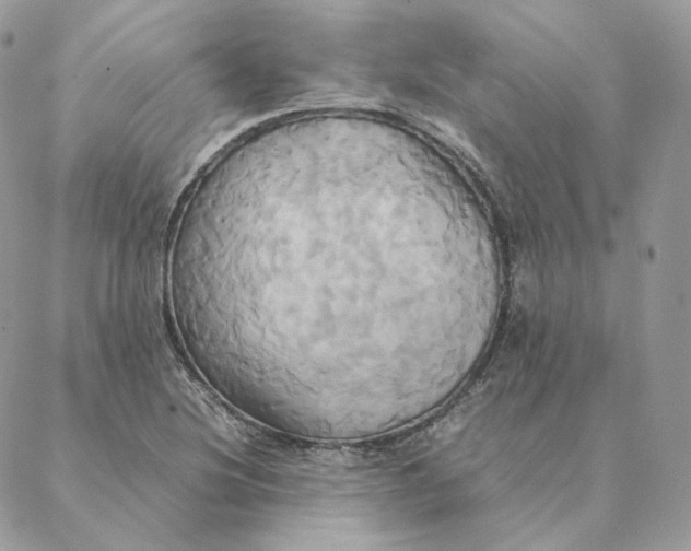 X0000088211220200706051248