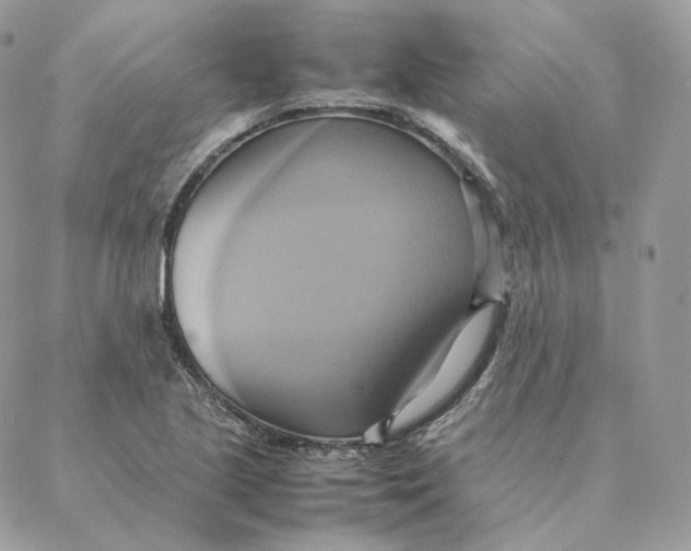 X0000088211221200706051248