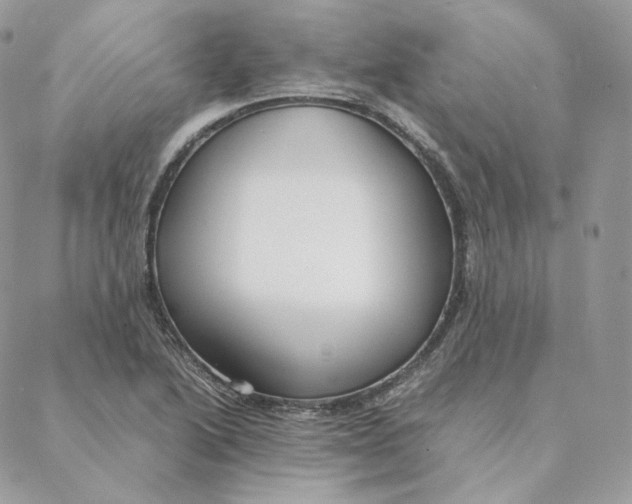 X0000088211222200706051248