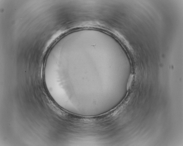 X0000088211224200706051248