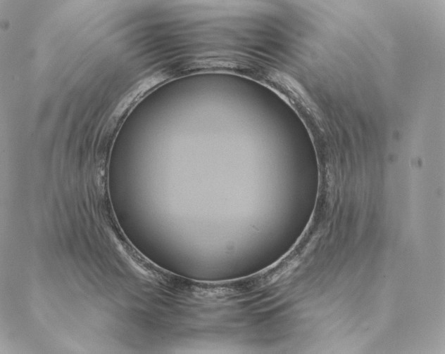 X0000088211225200706051248