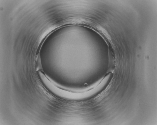 X0000088211226200706051248