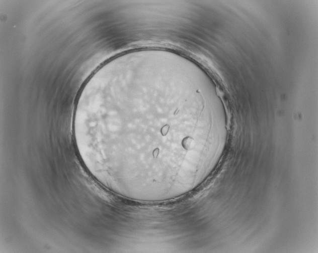 X0000088211228200706051249