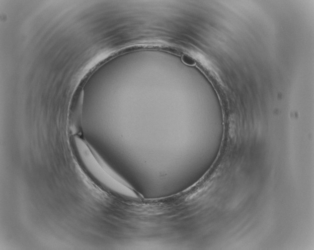 X0000088211229200706051249