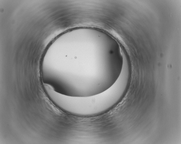 X0000088211230200706051249