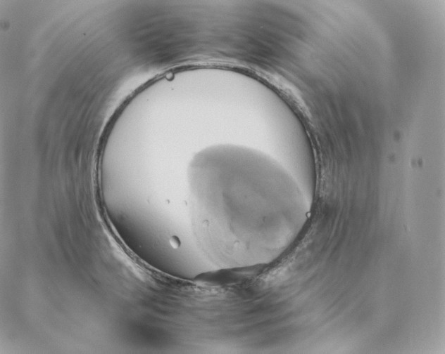 X0000088211231200706051249