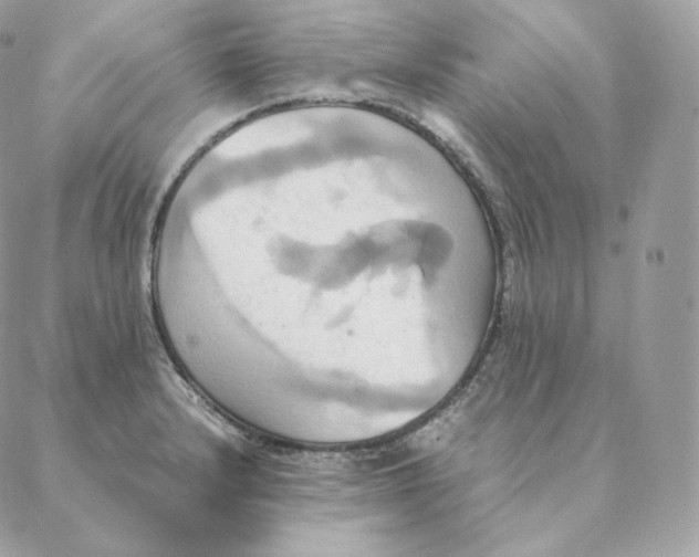 X0000088211232200706051249