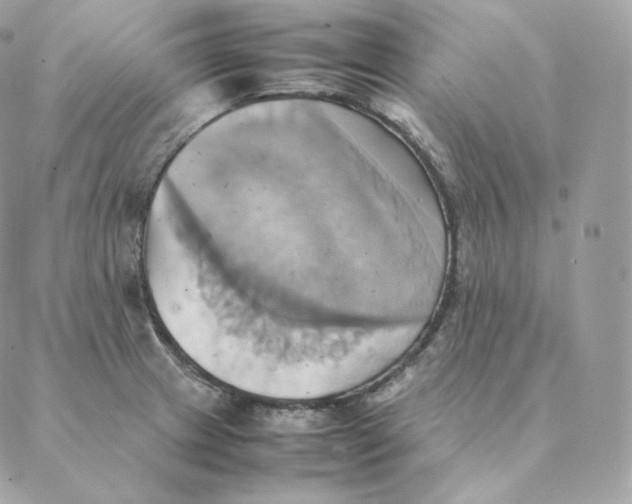 X0000088211233200706051249