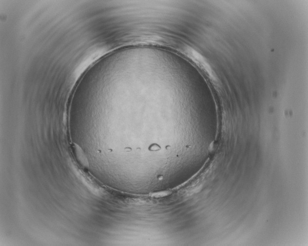 X0000088211234200706051249