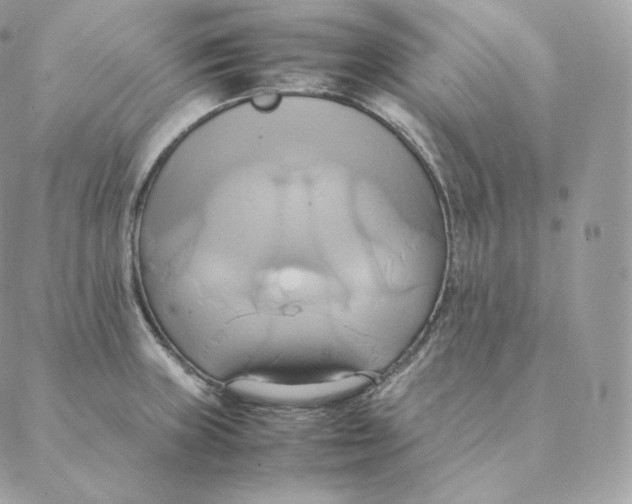 X0000088211235200706051249