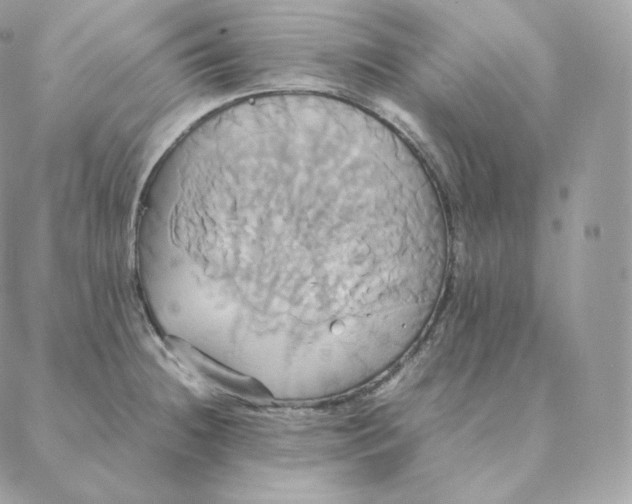 X0000088211236200706051249