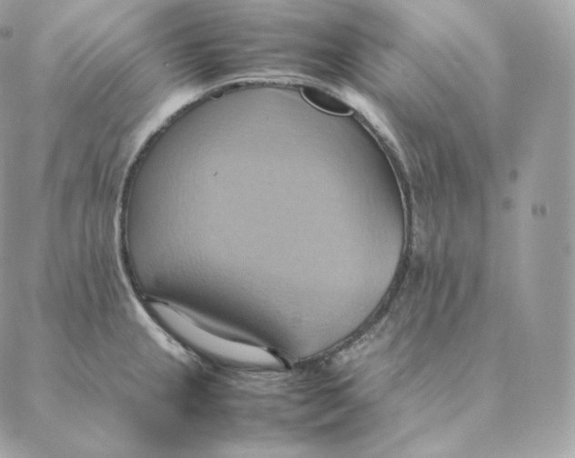 X0000088211237200706051249