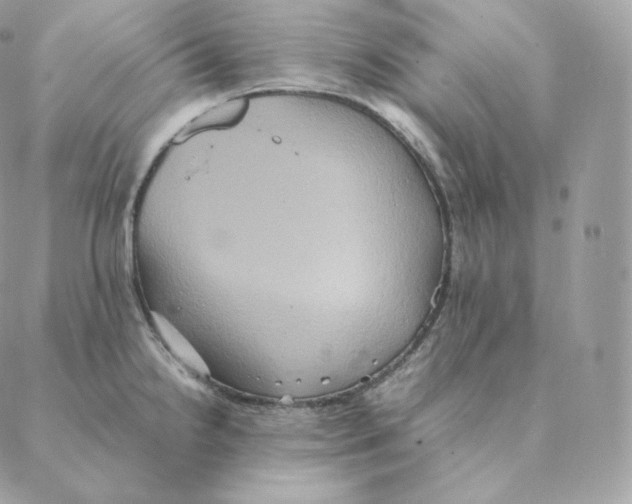 X0000088211238200706051249