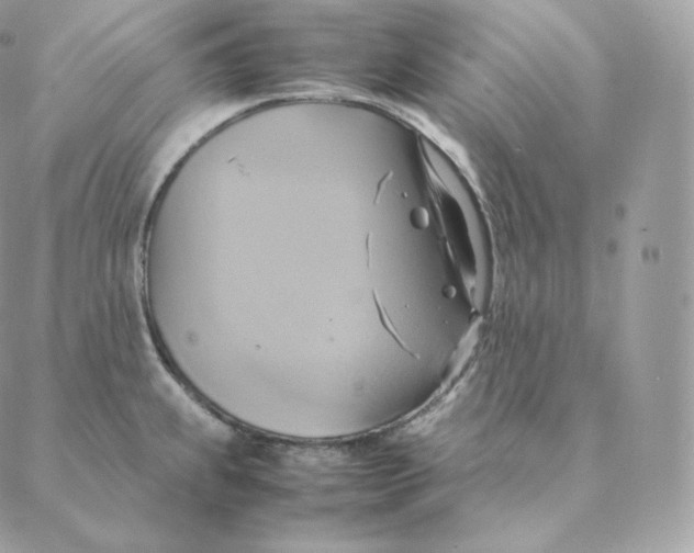 X0000088211239200706051249