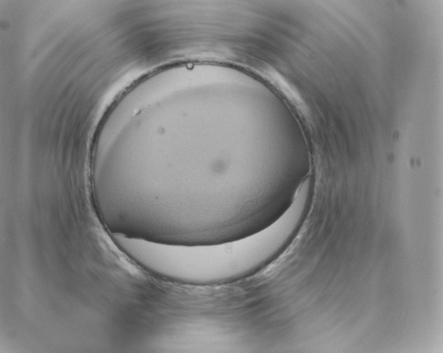 X0000088211240200706051249