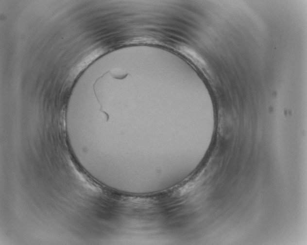 X0000088211241200706051249