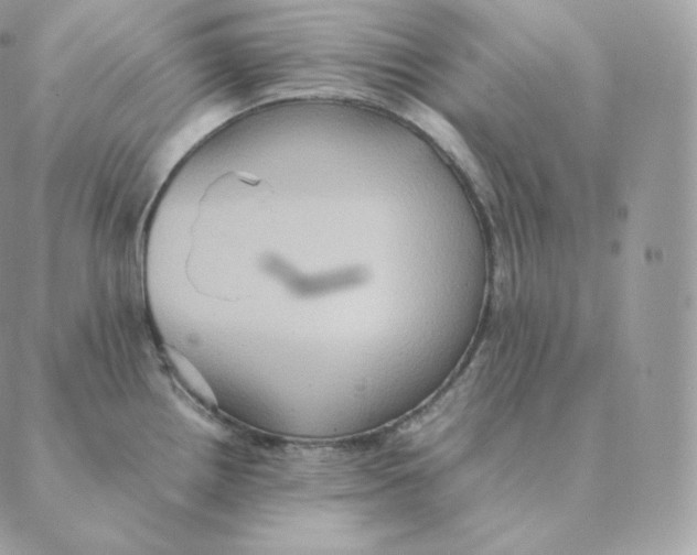 X0000088211242200706051249