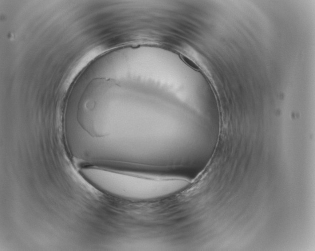 X0000088211243200706051249