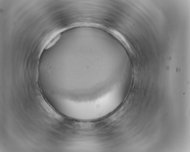 X0000088211244200706051249