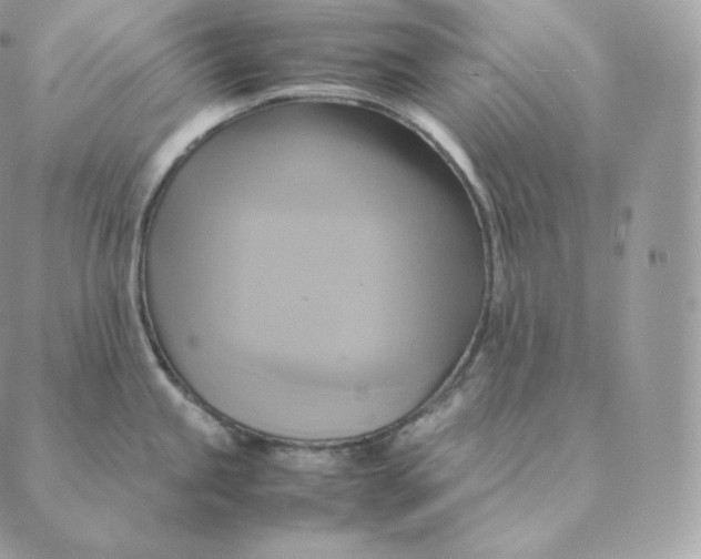 X0000088211245200706051249