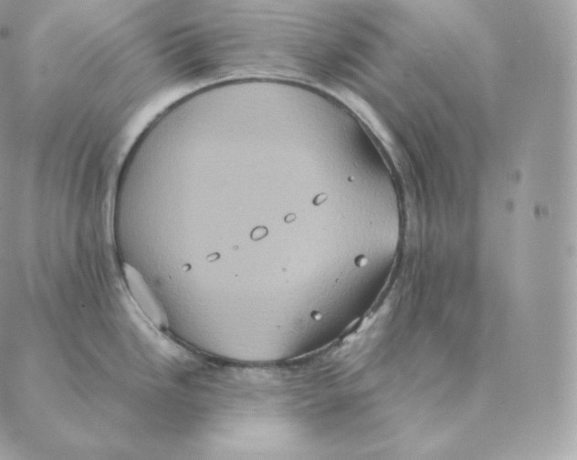 X0000088211246200706051249