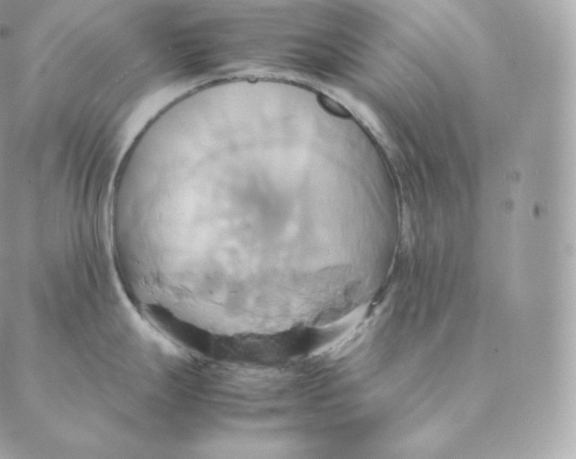 X0000088211247200706051249