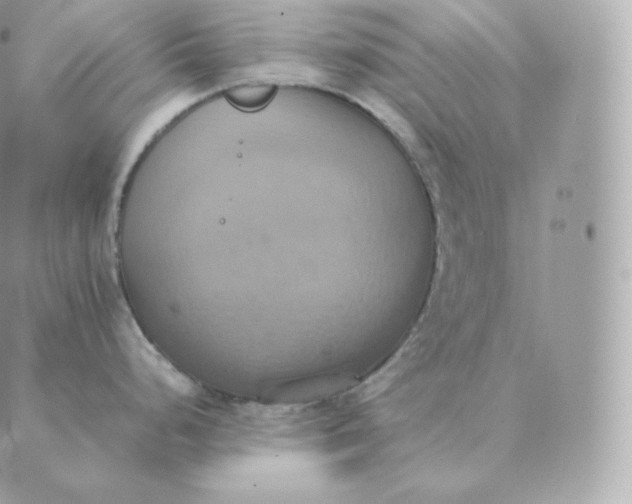 X0000088211248200706051249