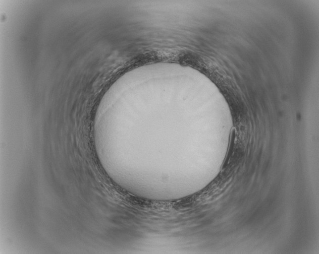 X0000088211249200706051248