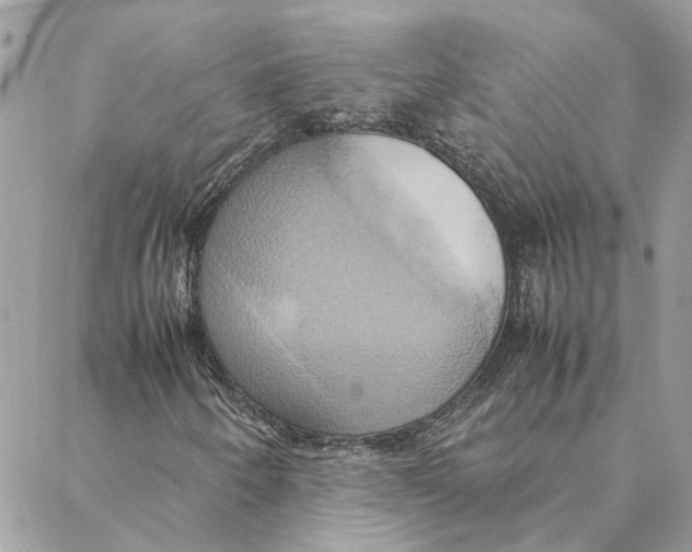 X0000088211250200706051248