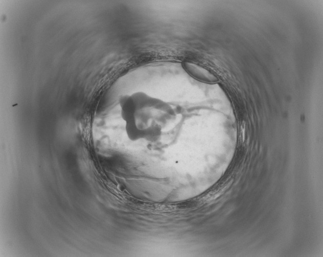 X0000088211251200706051248