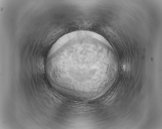 X0000088211252200706051248