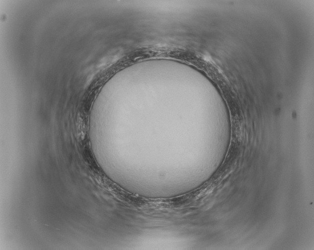 X0000088211253200706051248