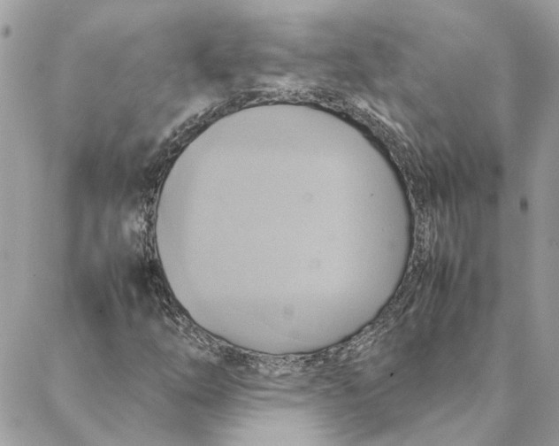 X0000088211254200706051248