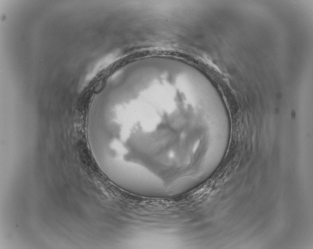 X0000088211255200706051248